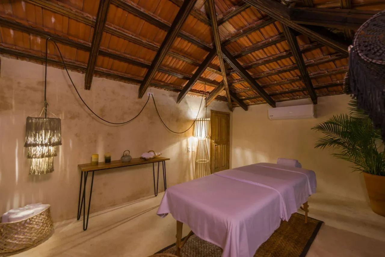 ***  Hotel Banana Boutique & Spa - 5Th Av プレヤデルカーメン メキシコ